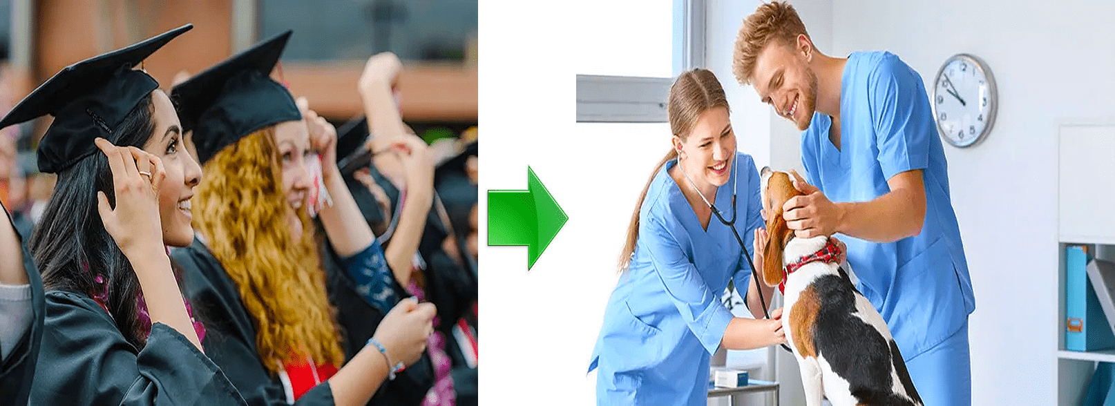 How Much Does Health Care Assistant Earn In Canada